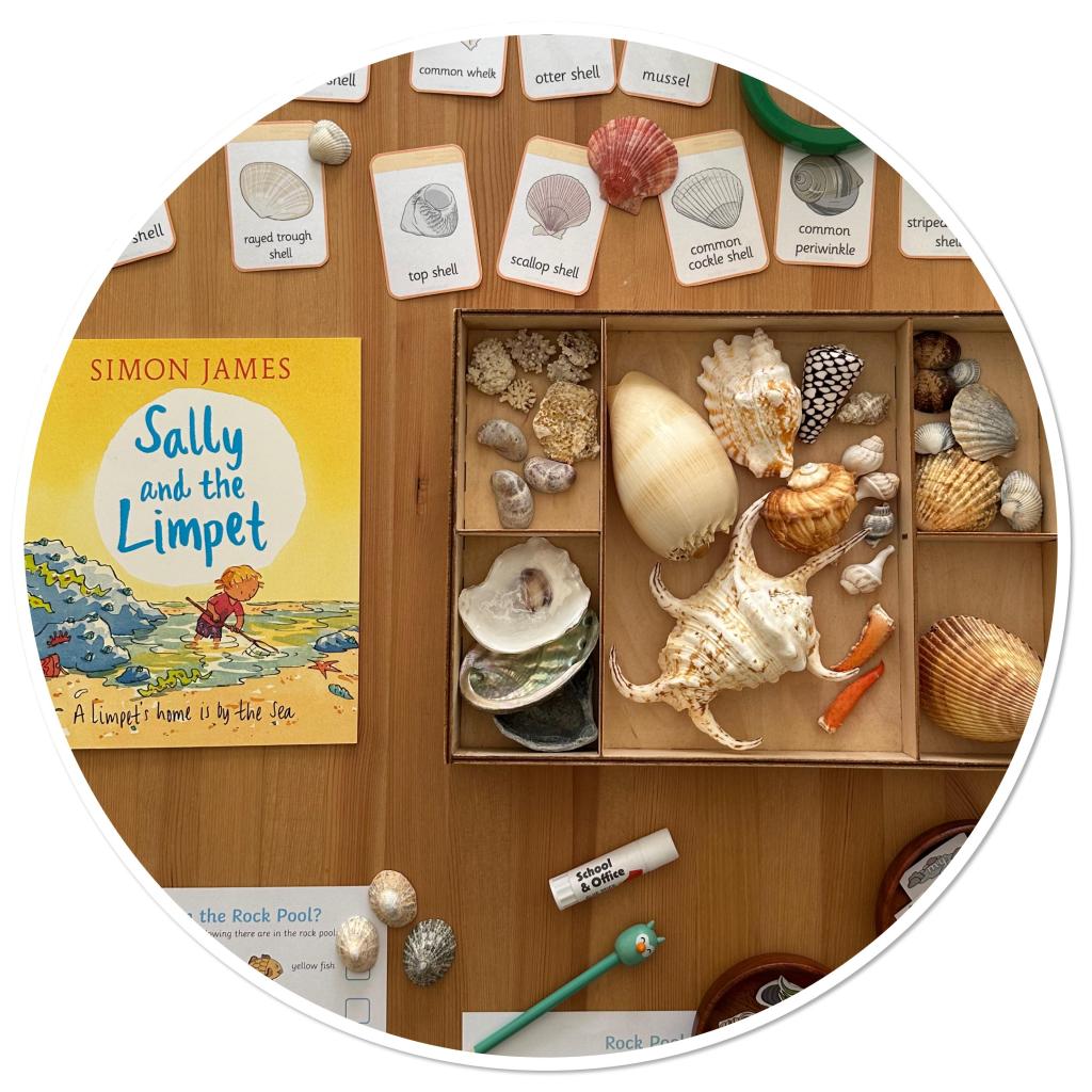 Weekly Recap: Week of May 5,&nbsp;2025